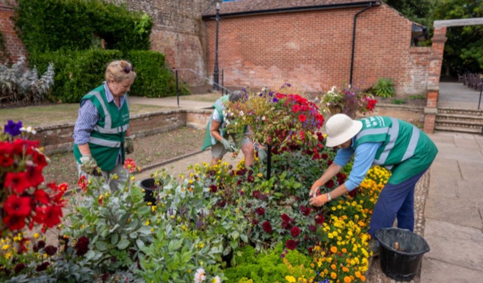 Sidmouth in Bloom © RHS