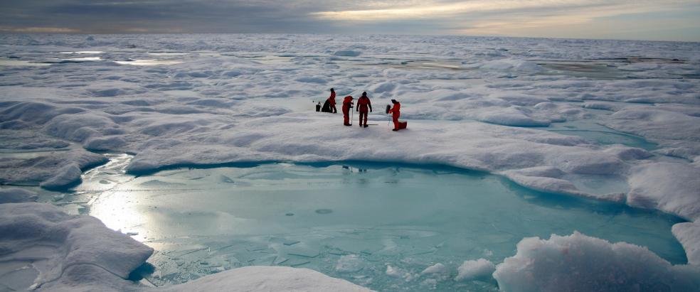 Sea ice in the Arctic (Simon Belt - Plymouth University)