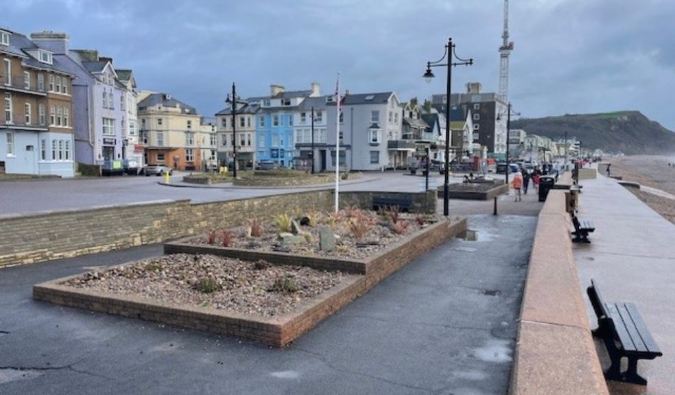 Seaton seafront flower beds