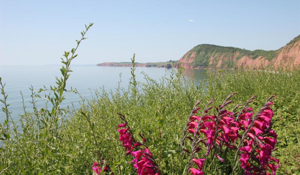Connaught Gardens, Sidmouth