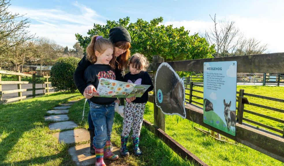 Spring Trail at The Donkey Sanctuary Sidmouth. Photo: The Donkey Sanctuary.