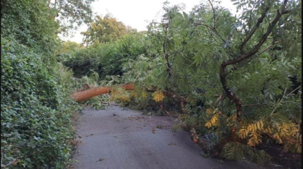 Storm Antoni left Devon's highways teams with an extensive clear-up operation over the weekend.