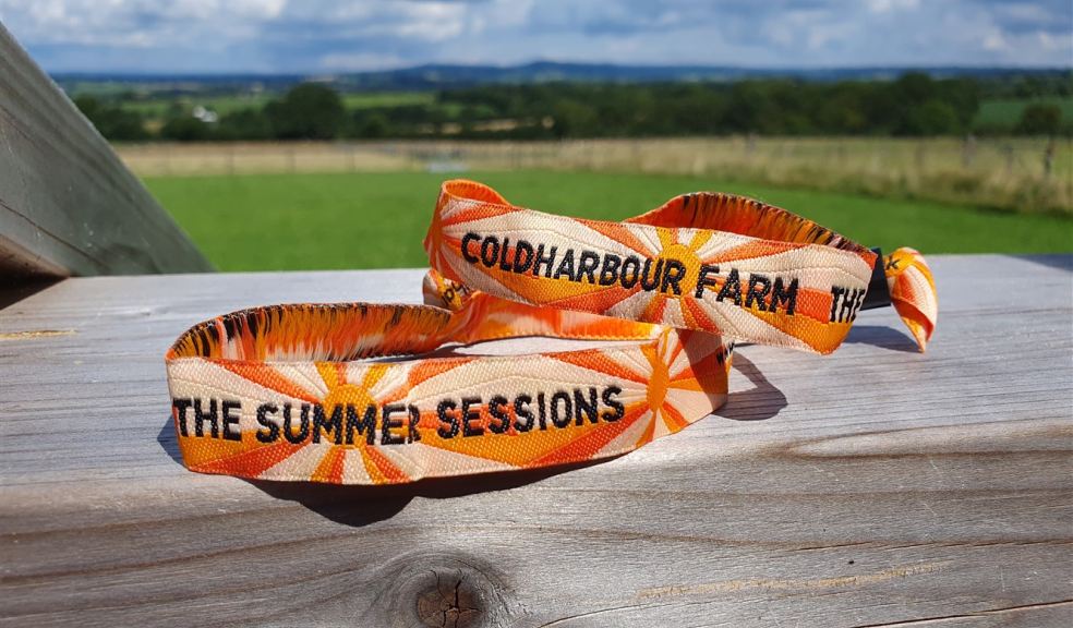 Festival wristbands