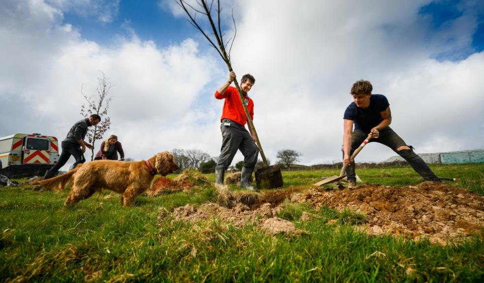 The Plymouth and South Devon Community Forest will enhance and improve the look and feel of the city and surrounding areas over the next 25 years. Photo: Chris Parkes Photography.