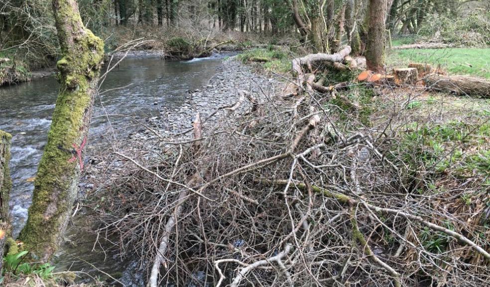 Environment agency, Tamar Tributaries