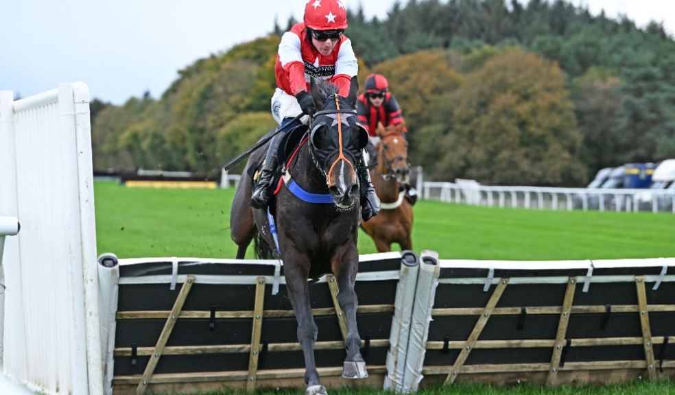 Time To Bite ridden by Bryan Carver and trained by Chris Honour at Sigford in Devon. Photo: Francesca Altoft Photography.