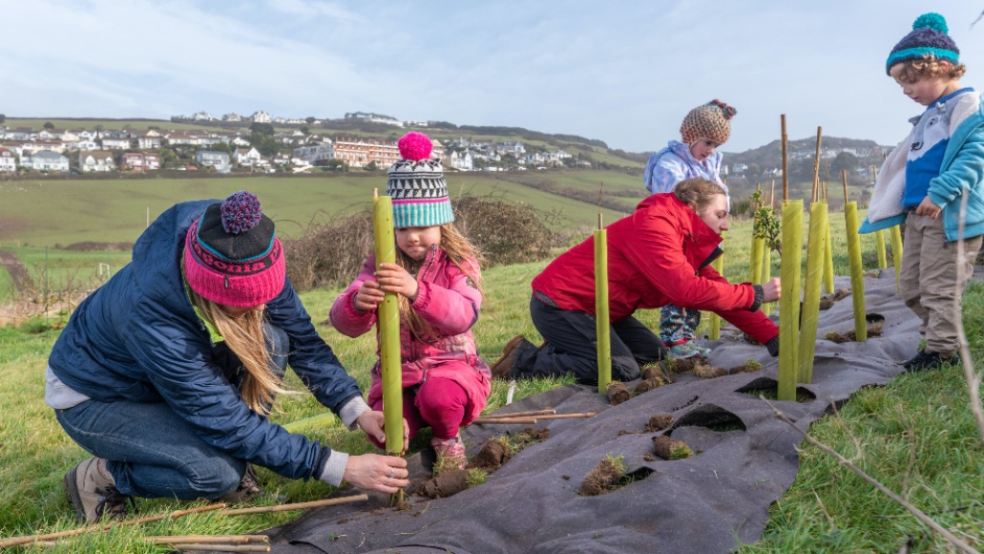 Tree planting in Woolacombe
