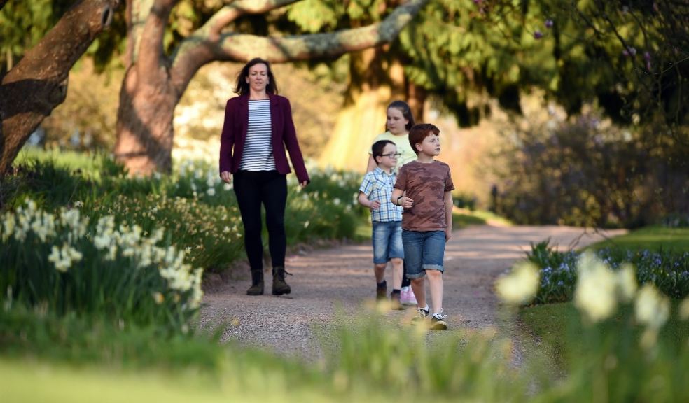 Visitors in the garden in spring at Killerton in Exeter. Photo © National Trust Images, John Millar