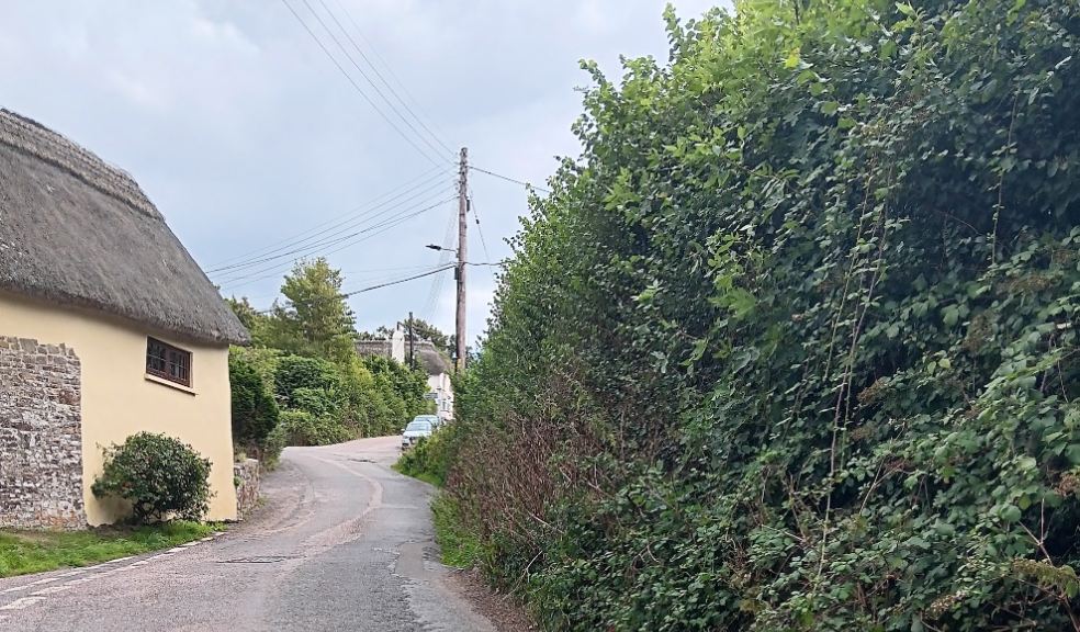 Westleigh - Rock Cottage and threatened hedgerow viewed from the north (photo supplied by Brian Lees);