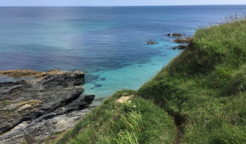 Wild coast on the Roseland Peninsula.