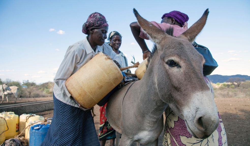 Women loading water onto donkey