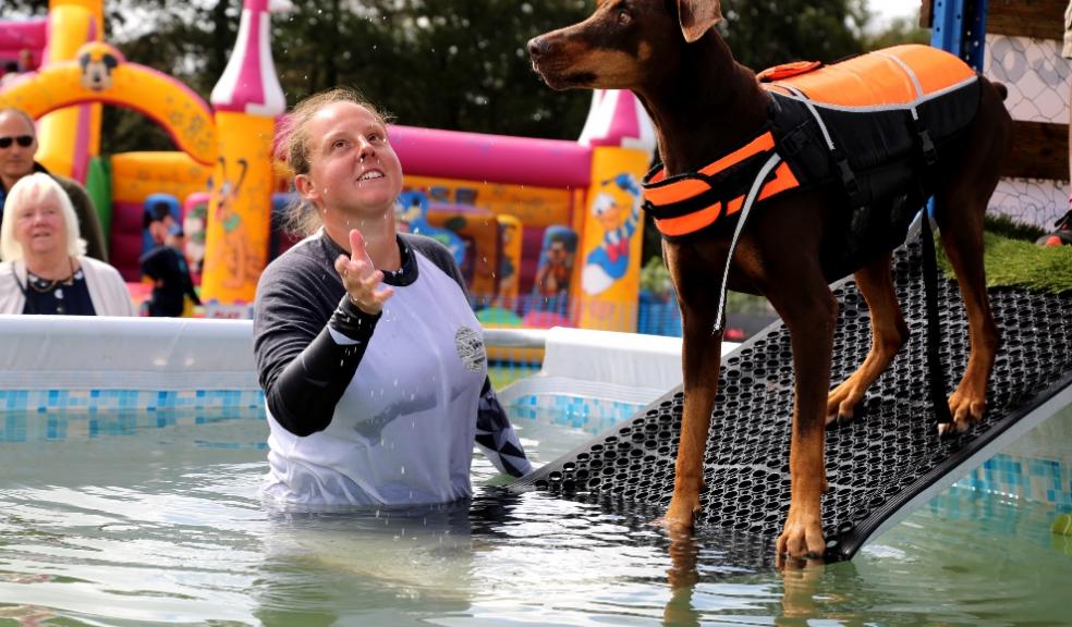 Festival for dog lovers to return this summer!