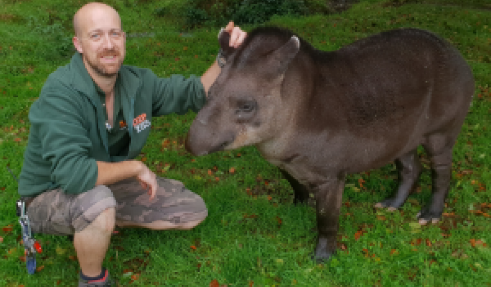 Dartmoor Zoo welcomes new curator, Tom Lowry