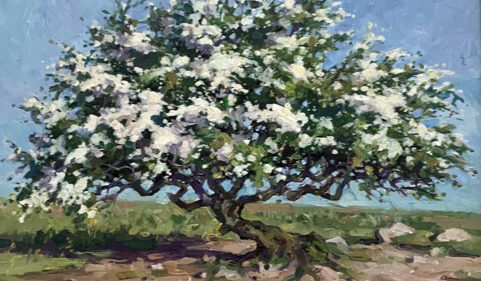 Andrew Miller - May Blossom