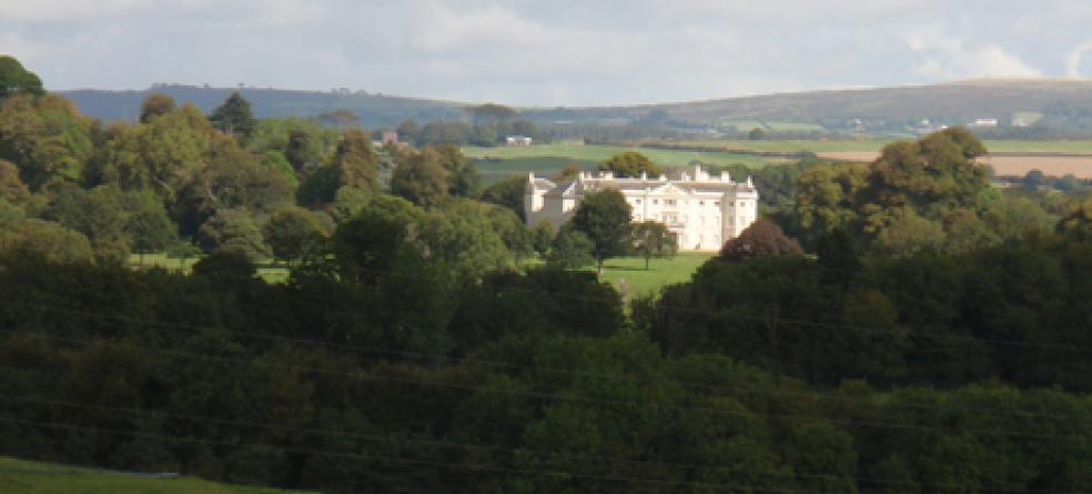 Children and their families are going to be giving expert tips to teams tasked with making Saltram Park even more enjoyable and family-friendly