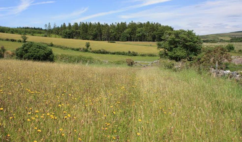 View across the new nature reserve