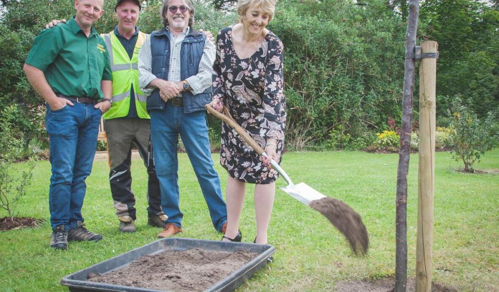 Lynda Bowyer, Councillor for Eggbuckland, plants tree