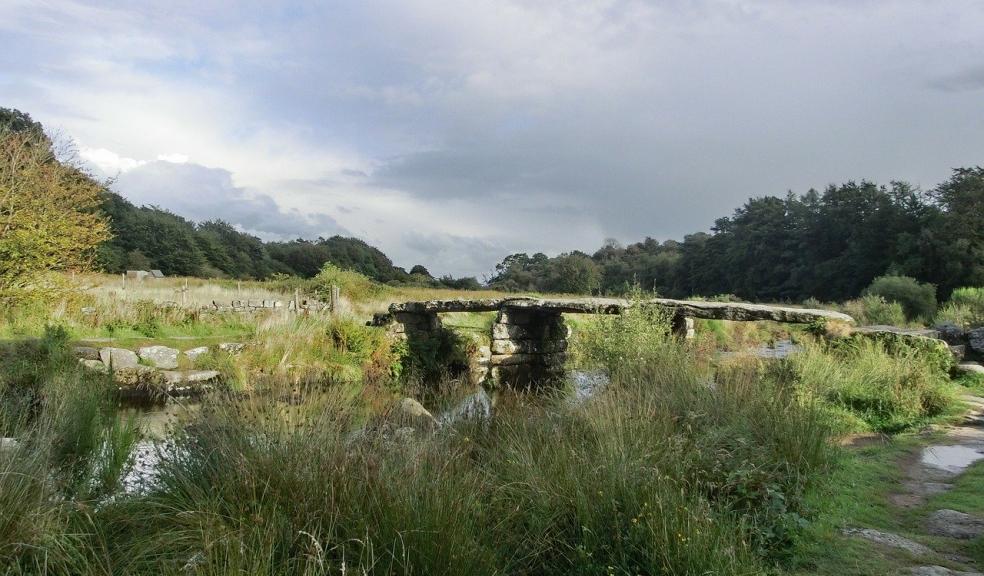 Dartmoor Zoo: Chinca