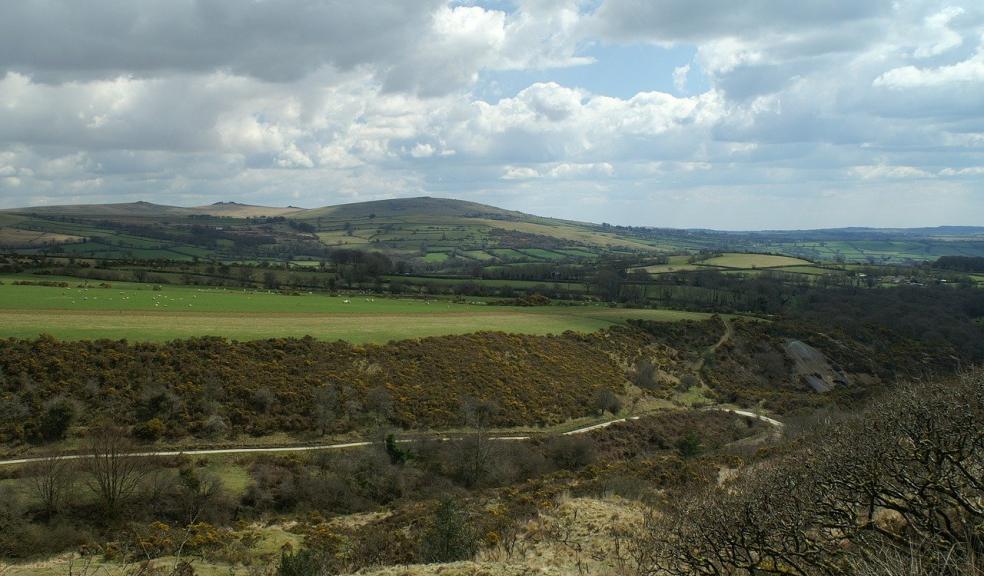 Dartmoor Pony Heritage Trust 