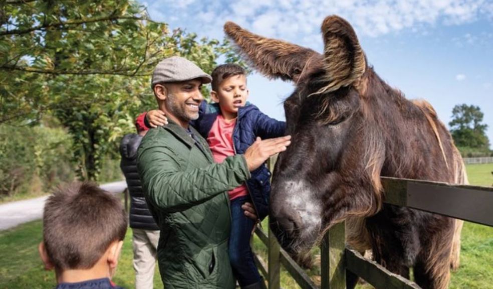 Photo caption: The Donkey Sanctuary.