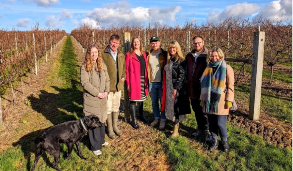 RAW with the Langham wine team at their wine estate