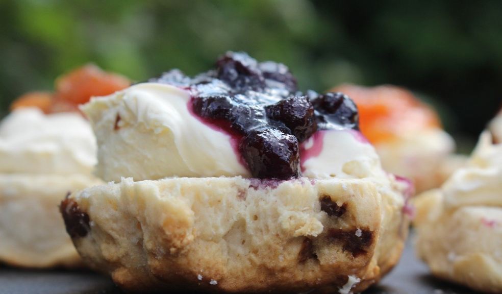 Cream tea