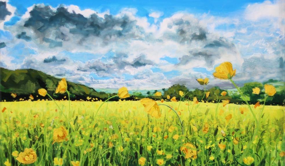 Buttercups at Ide by Joe Webster Buttercups at Ide by Joe Webster
