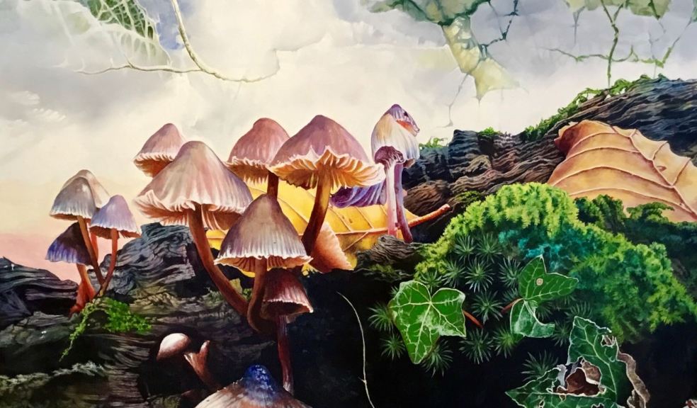 John Hurford, December Fungi