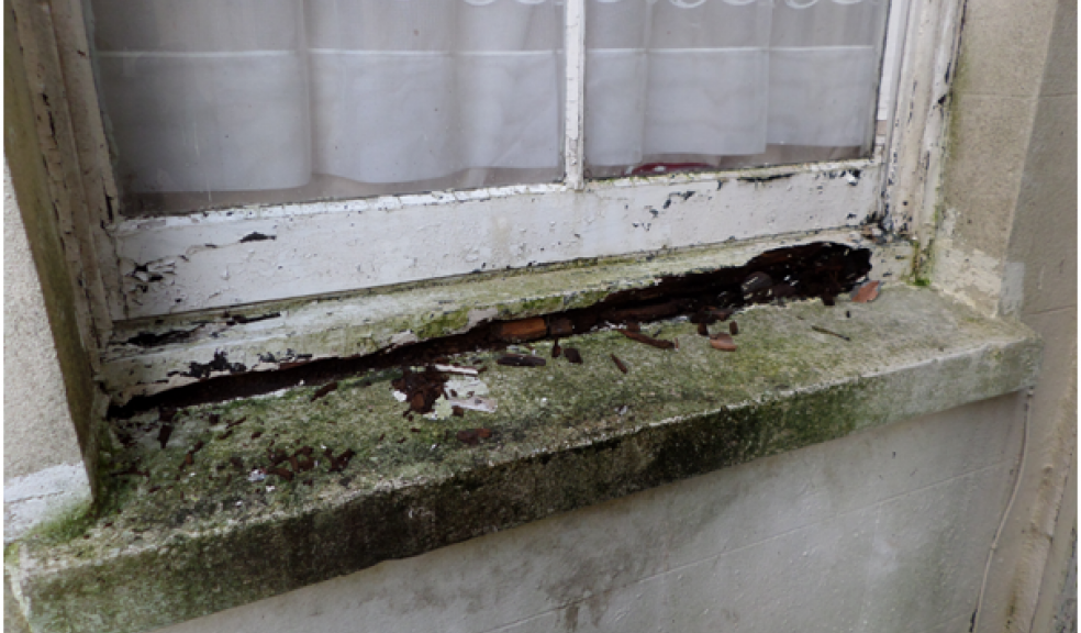 Rotten windows