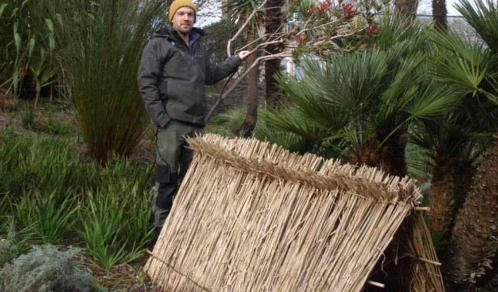 Ian Trought. Photo: National Trust Images/Andrew Northrop.