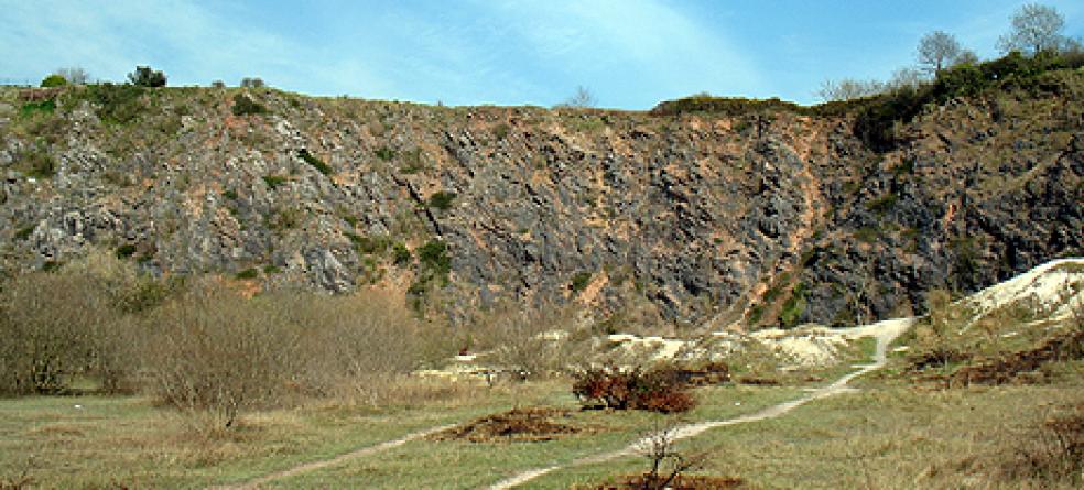 Radford Quarry