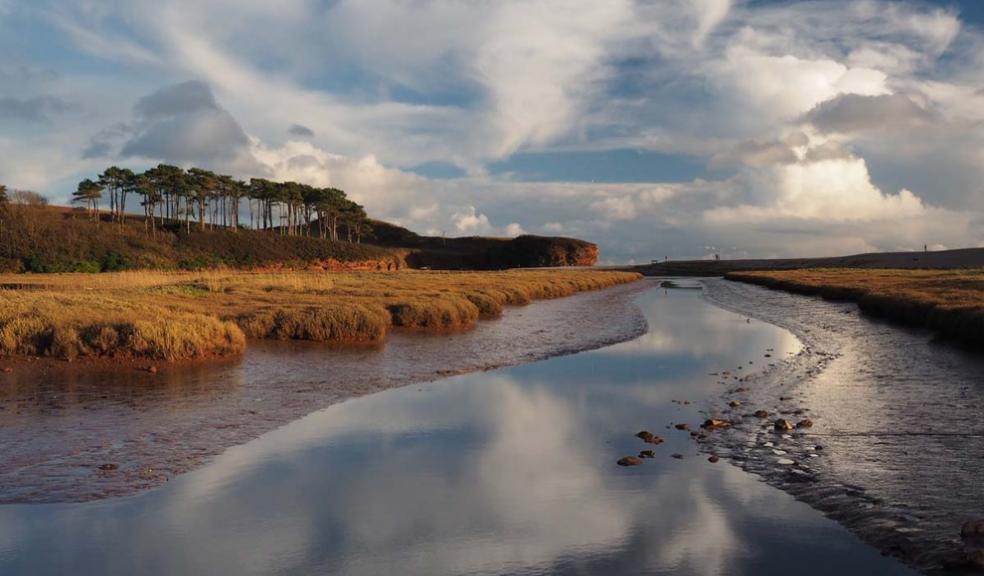 River Otter into Budleigh