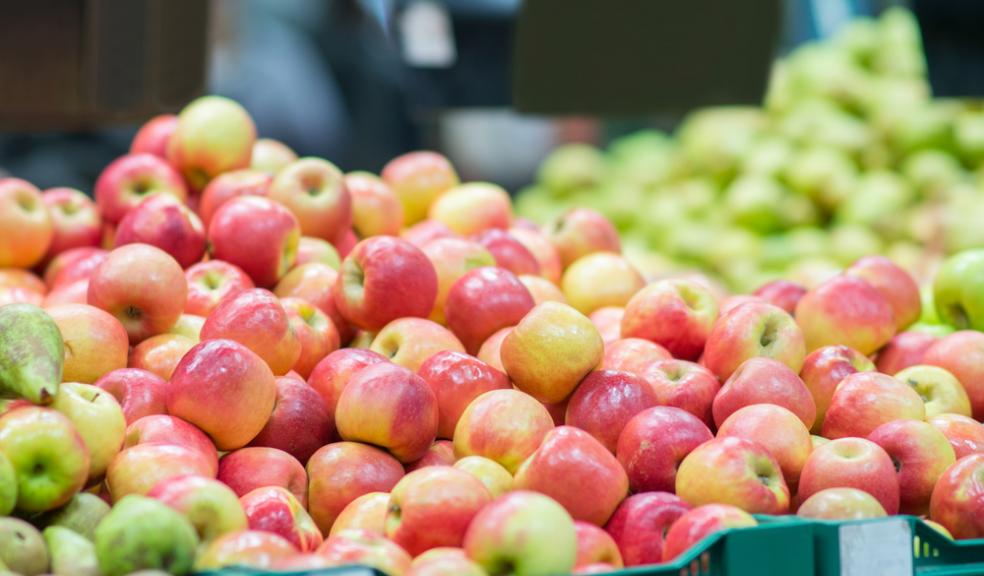 Nearly 30,000 tonnes of food is wasted, says Tesco including 40 per cent of apples