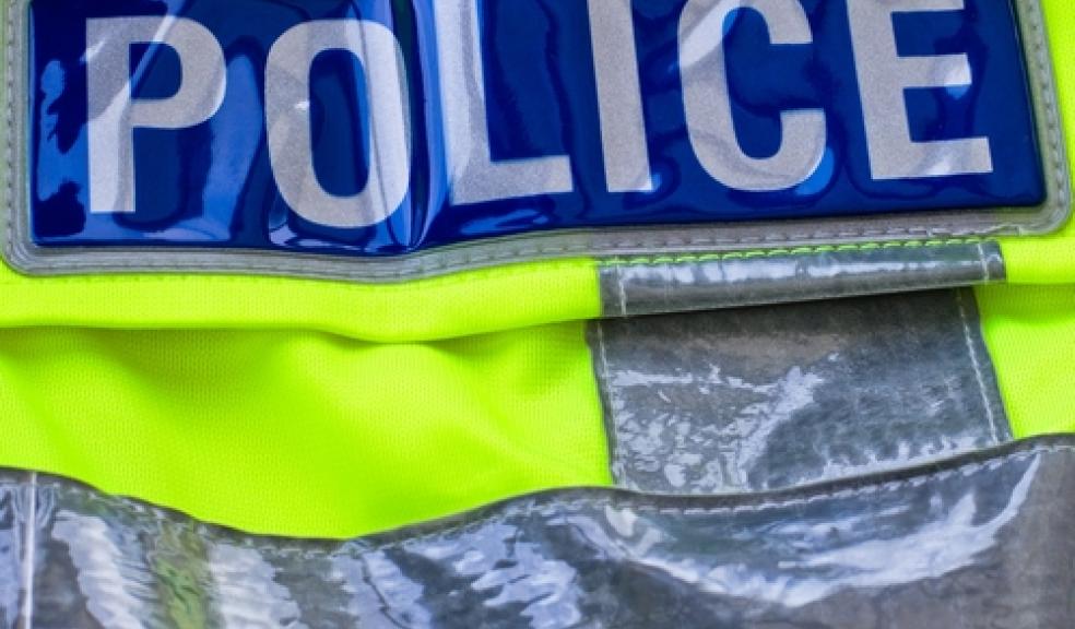 Police are appealing for witnesses after a woman shouted abuse at members of the public in Plympton