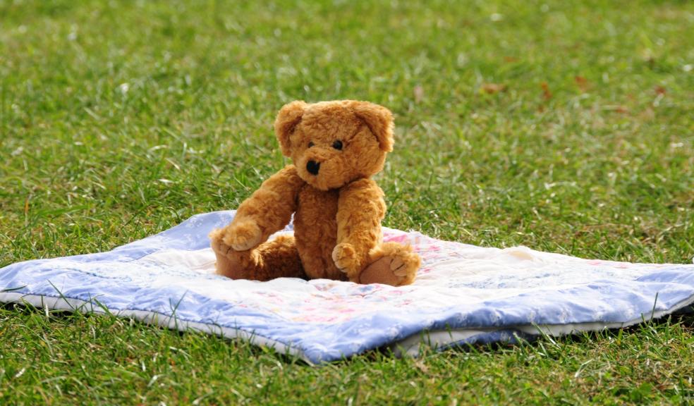 Summer holidays are picnic time in Plymouth's open spaces