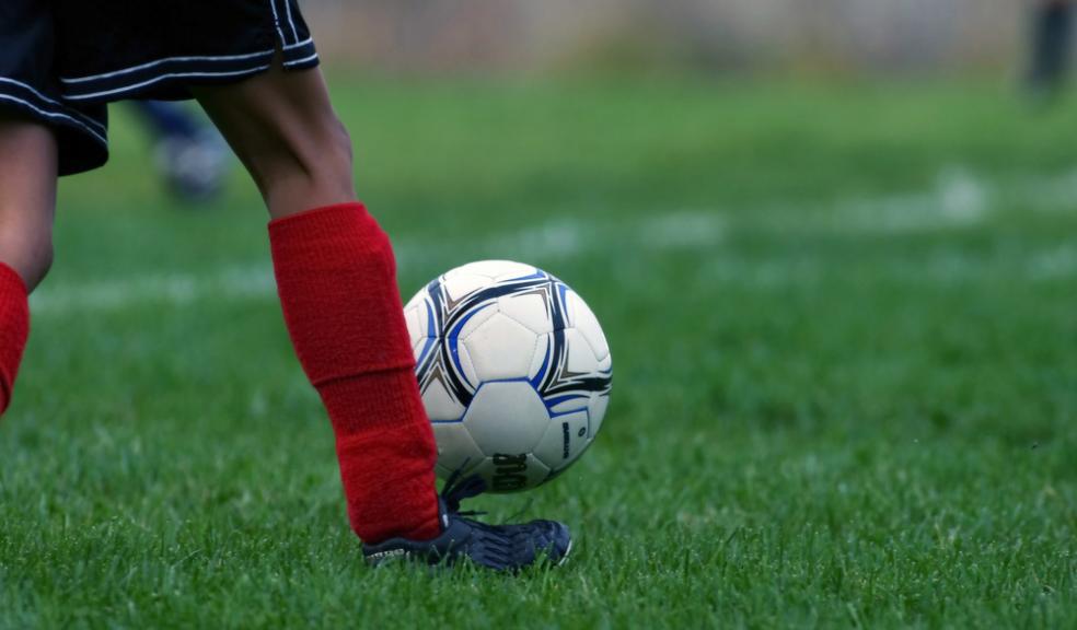 A field at Estuary Way will be re-opened as a formal pitch this summer, part of local improvements co-ordinated by Barne Barton Partnership Green Space Forum
