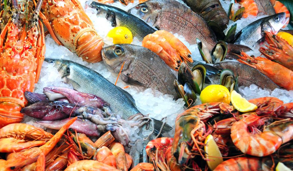 A taste of the sea: Plymouth set to host Seafood Festival this weekend