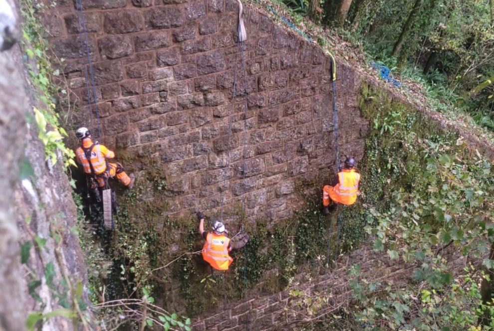 Operatives working on removing vegetation by ropes.