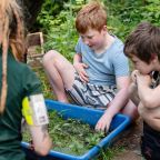 The Outdoors School