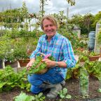 Man in an allotment garden holding rhubarb