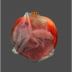 Fruit wrapped in plastic art