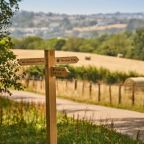 Saltram East trails signpost © National Trust Images Steve Sayers