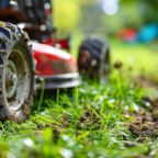 Red Stock photos by Vecteezy.