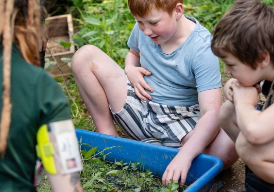 The Outdoors School