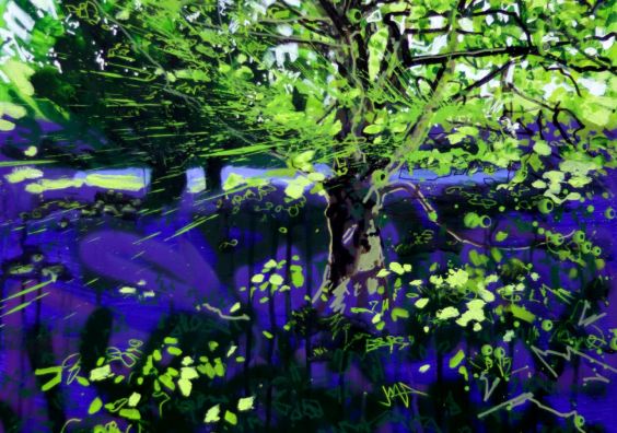 Joe Webster - Sycamore, Yew, Bluebells