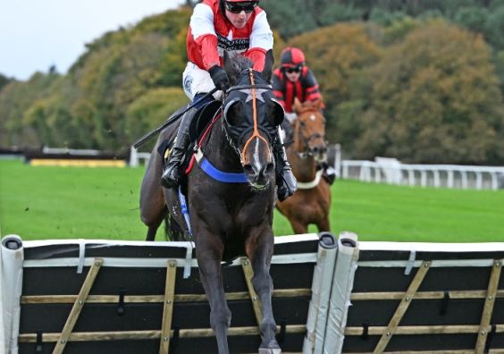 Time To Bite ridden by Bryan Carver and trained by Chris Honour at Sigford in Devon. Photo: Francesca Altoft Photography.