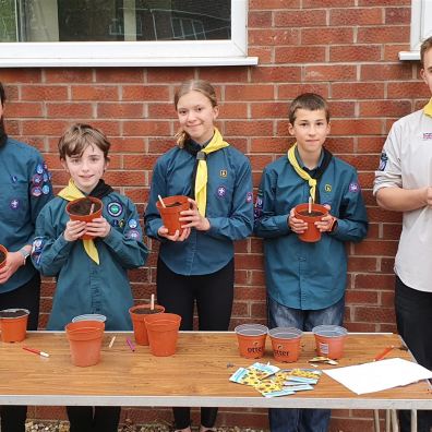 Scout troop potting up sunflower seeds