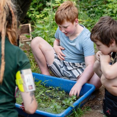 The Outdoors School