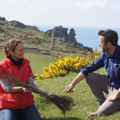 3,000 new trees planted by National Trust in South Devon