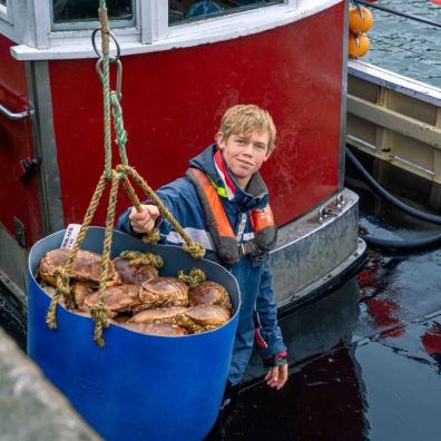  Alfie Steer is a fisher apprentice at South Devon College